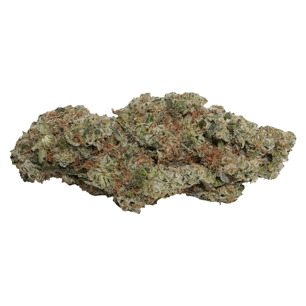 OG Dutch Dragon