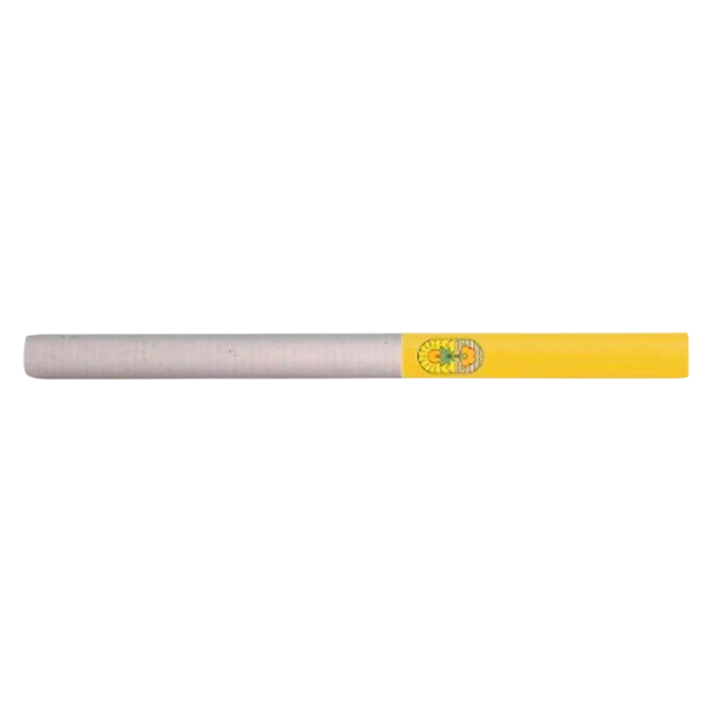Durban Princess