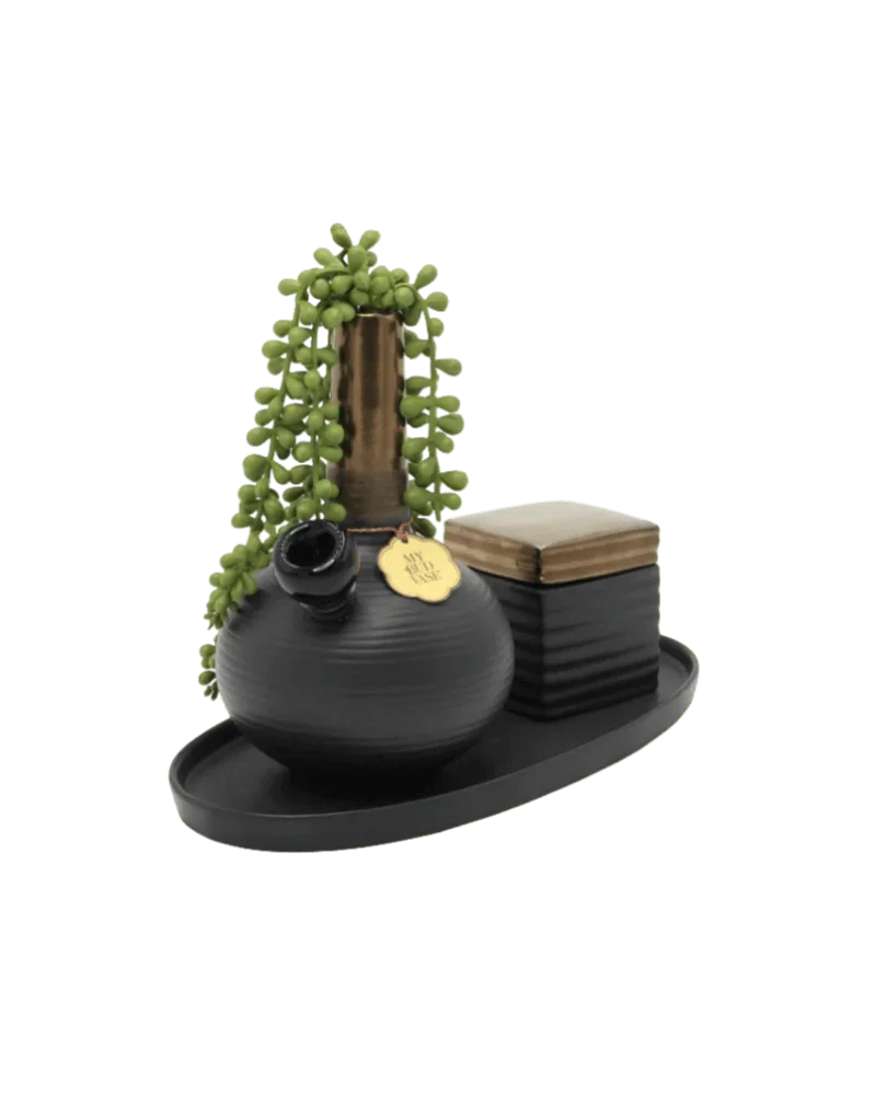 My Bud Vase DeAngelo black ceramic bong with trailing succulent plant and brass accents on display tray