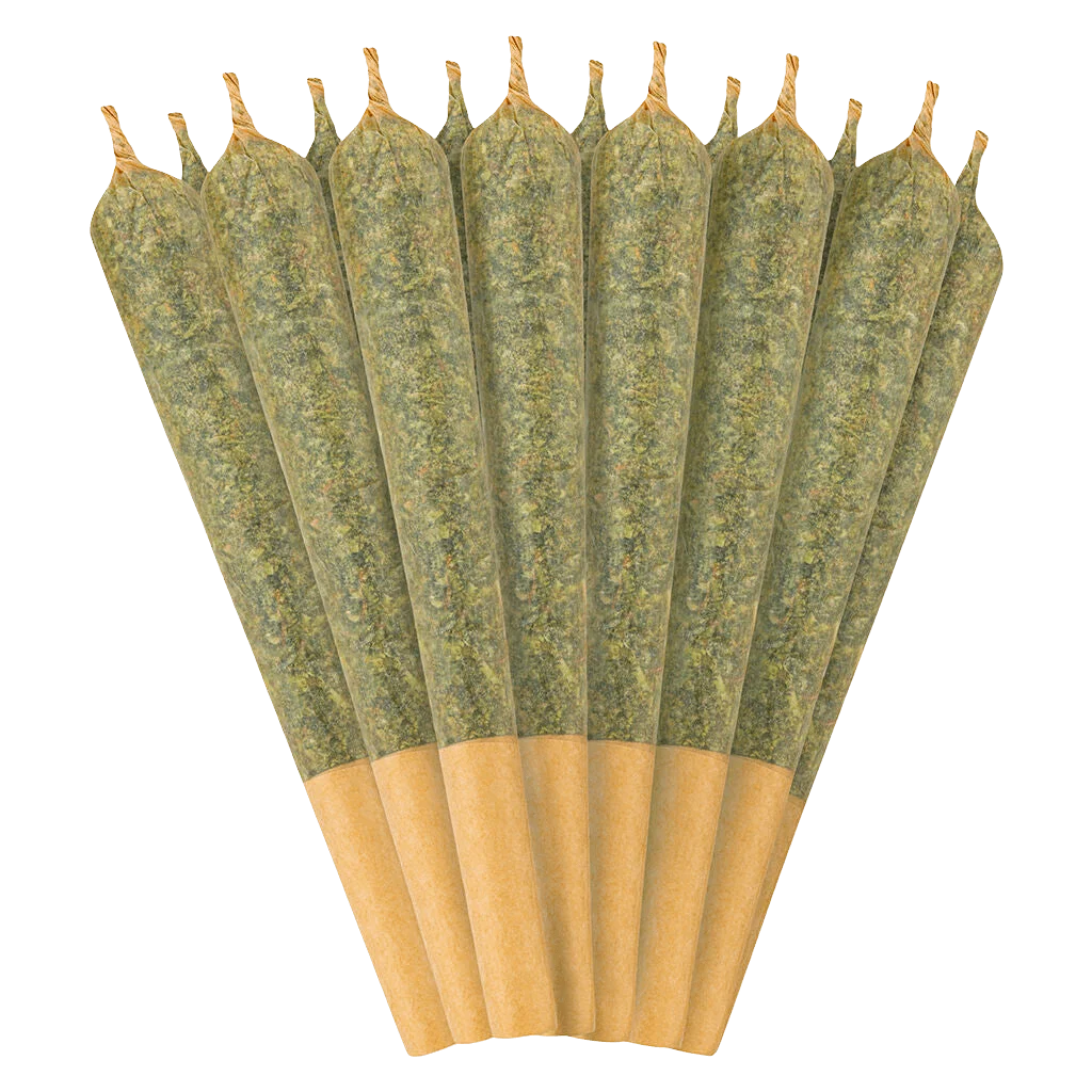 Indica 30 Plus