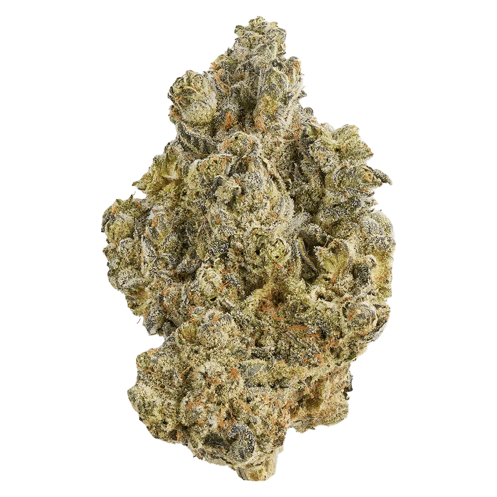 La Bomba