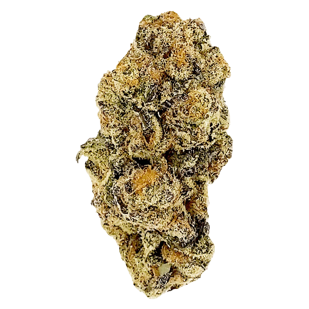 Bourgeons de cannabis en fleurs séchées Unicorn Poop de Partake, aux trichomes denses et à la teinte verte dorée