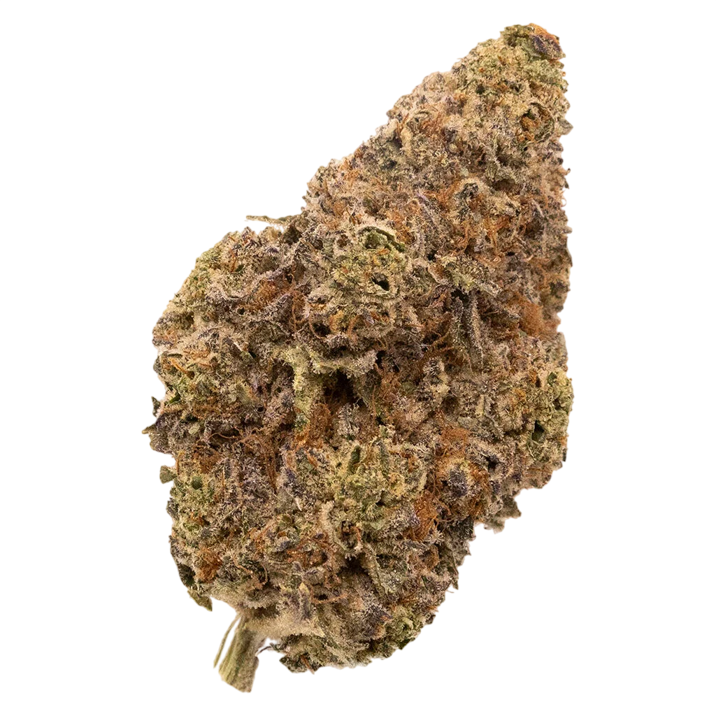 Chatty Kathy - Dried