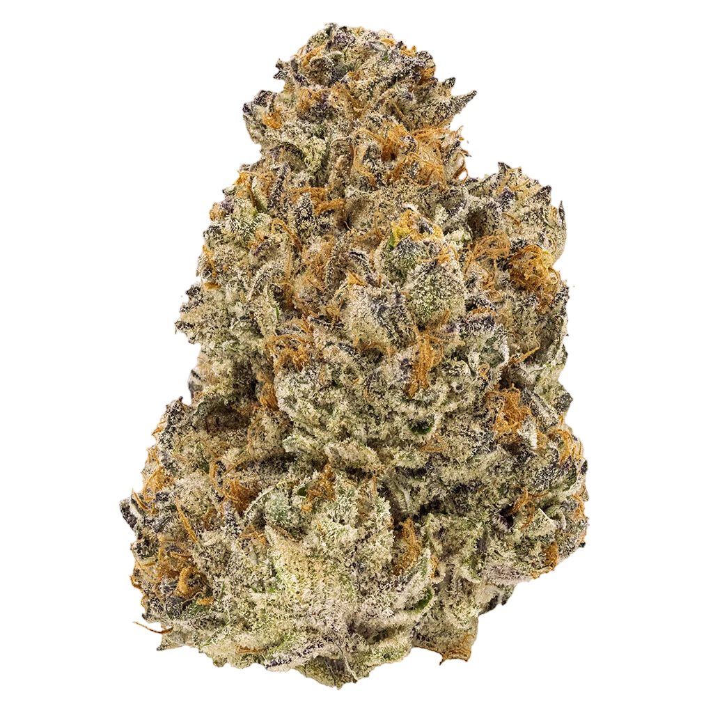 Chatty Kathy - Dried