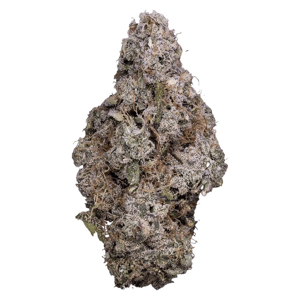 Tribal Porto Leche cannabis dried flower bud with dense trichomes and green undertones