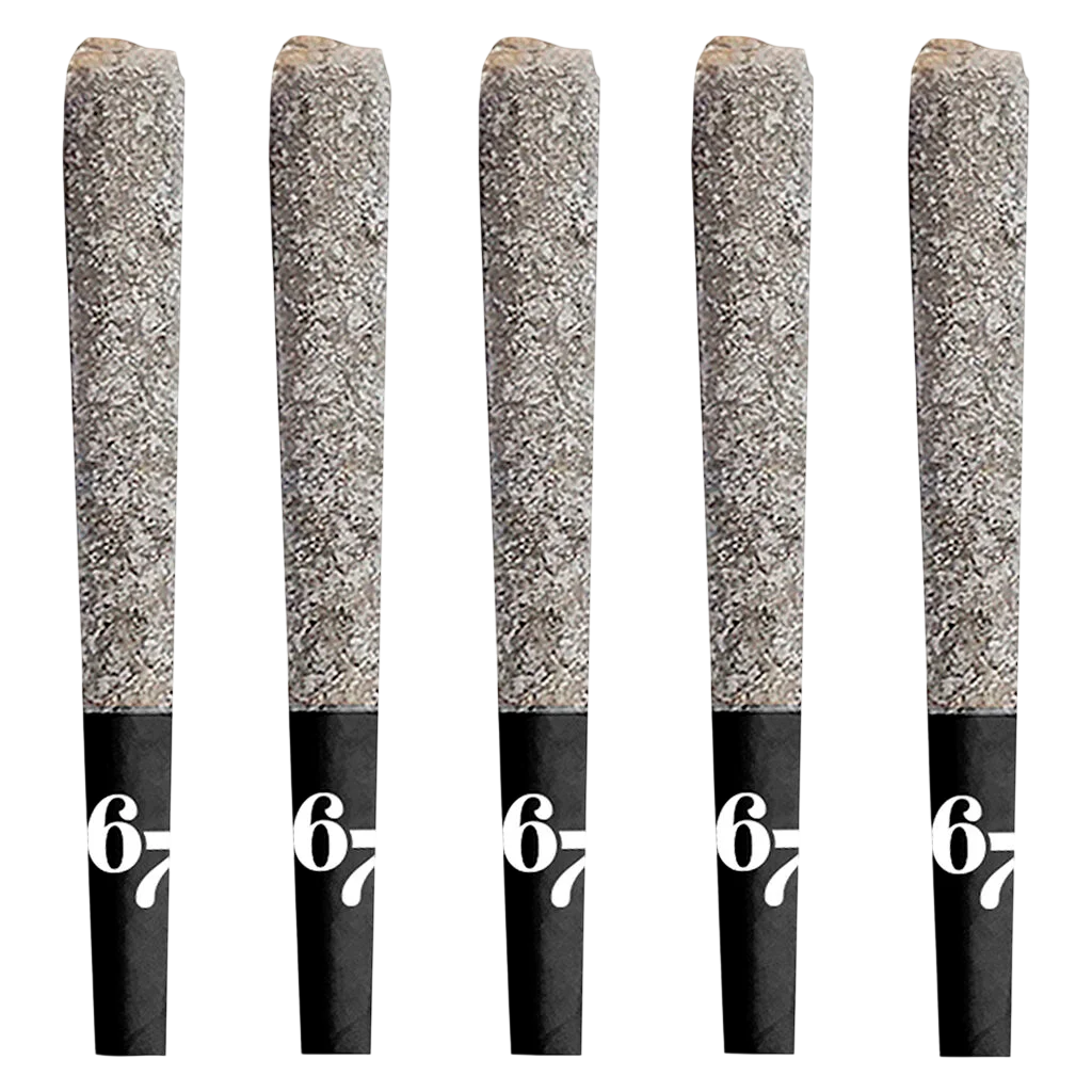67 Sindicate Infused