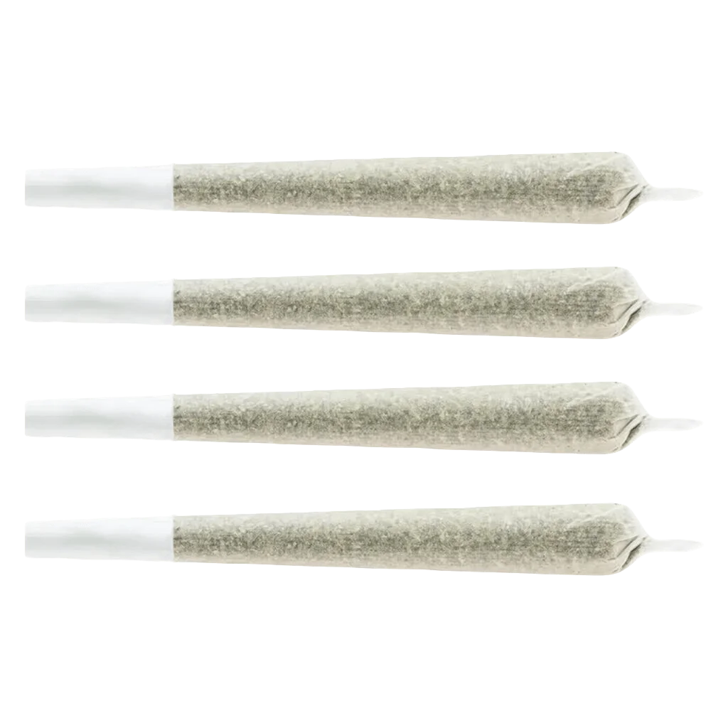 Snack Pack - Sativa