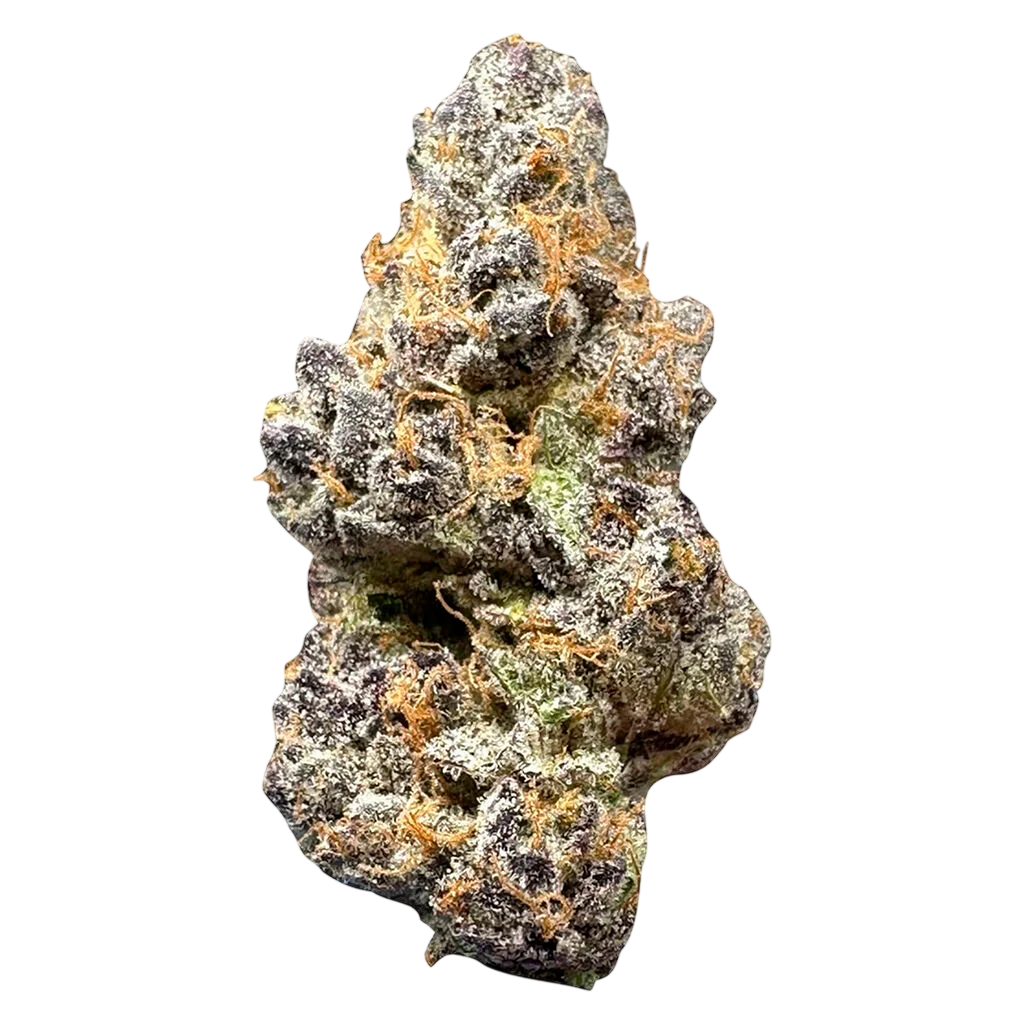 Tropic Fuel