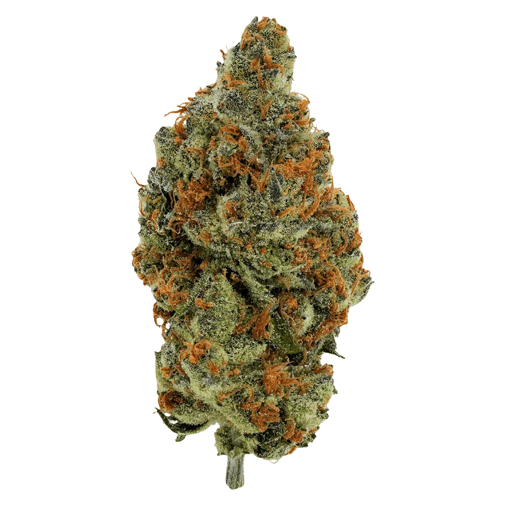 BC Organic Mandarin Zktz