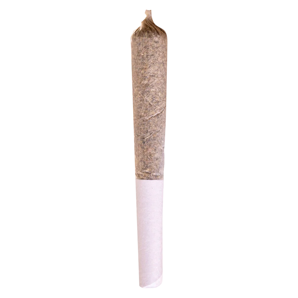 Potluck Strawberry Cough pre-roll with twisted paper tip and white filter, cannabis pre-roll