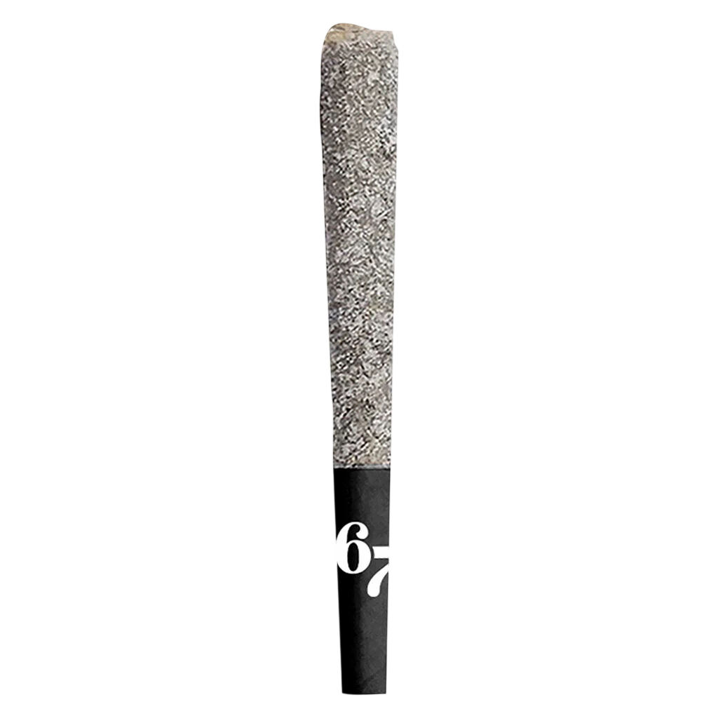 67 Sindicate Infused