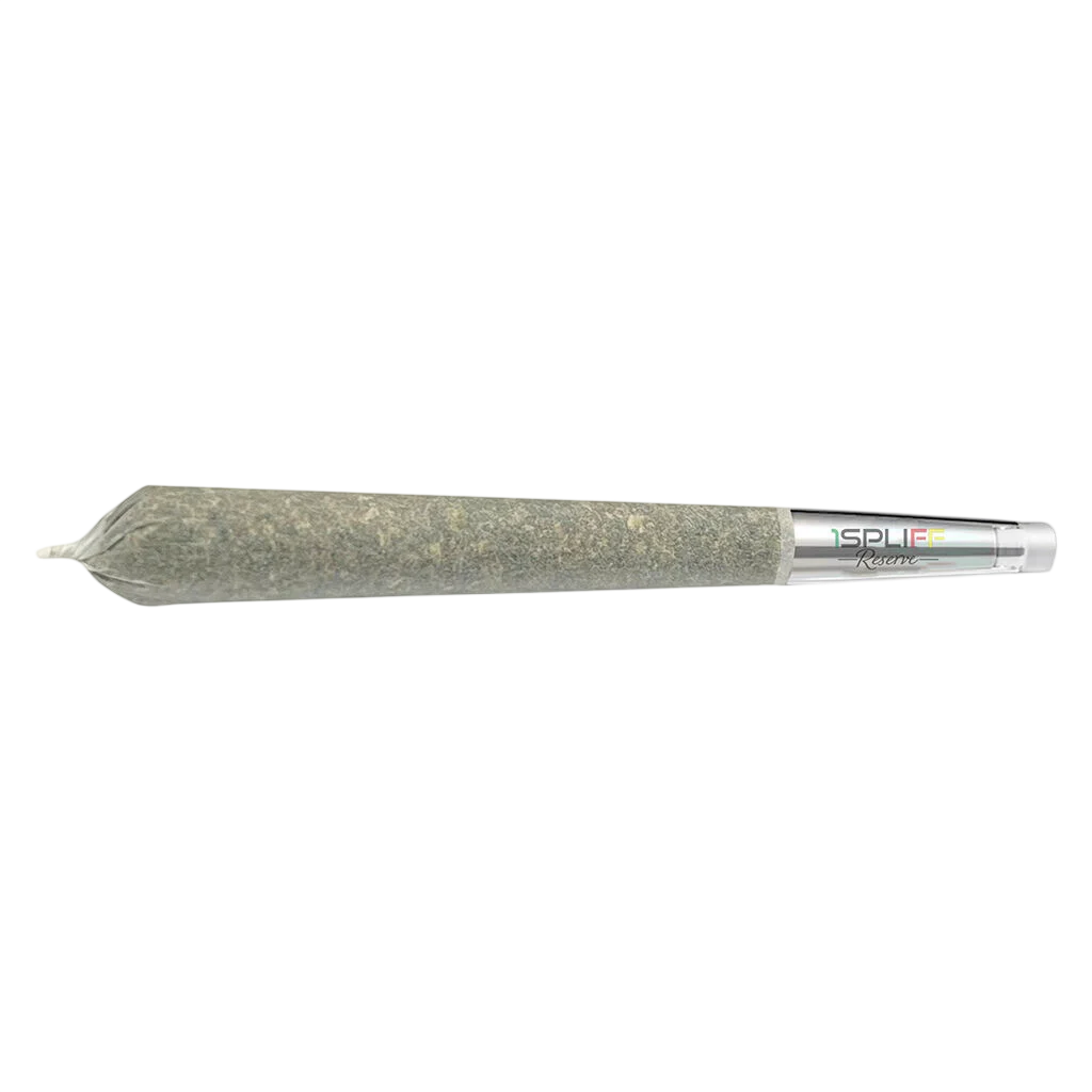 Candy Rain Premium Glass Tip
