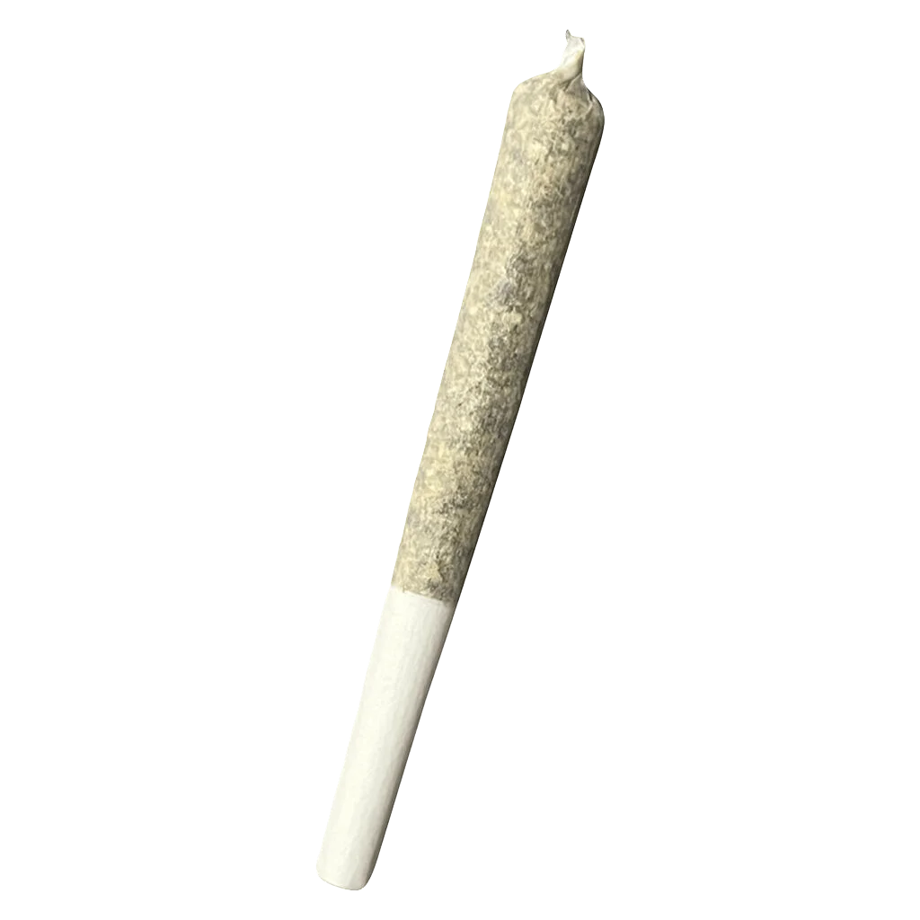 Truro Bluenose Berry hash infused pre-roll with light paper and twisted tip