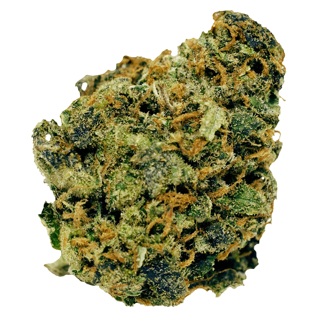 Bourgeons de cannabis CBD Pumpkin Spice à fleurs séchées avec trichomes verts et ambrés