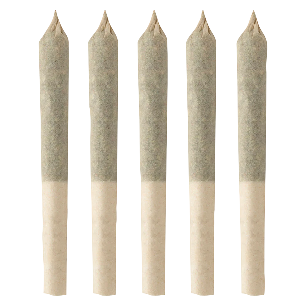 BC Organic Harlequin