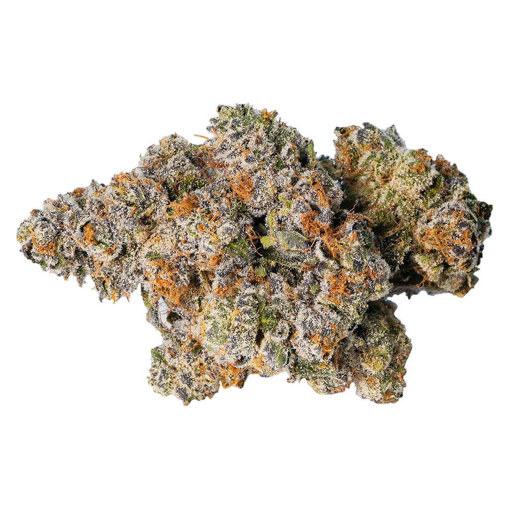 Bourgeons de cannabis à fleurs séchées LOT420 Gelato 33 avec des trichomes denses et une coloration brun doré