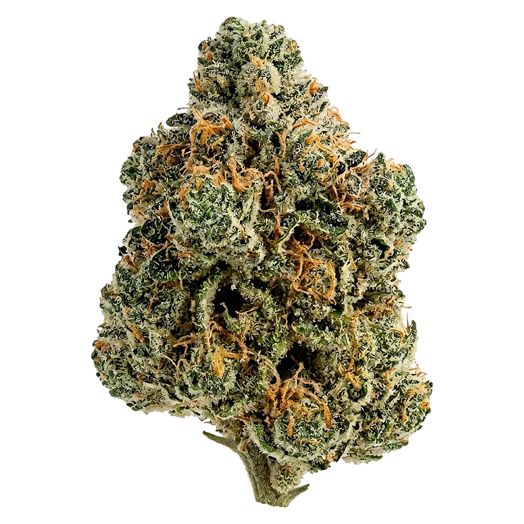 Breeders Stash