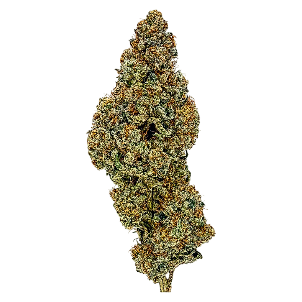 Fleur Artisanale Primée