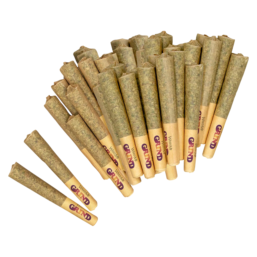 40's Sativa Préroulé
