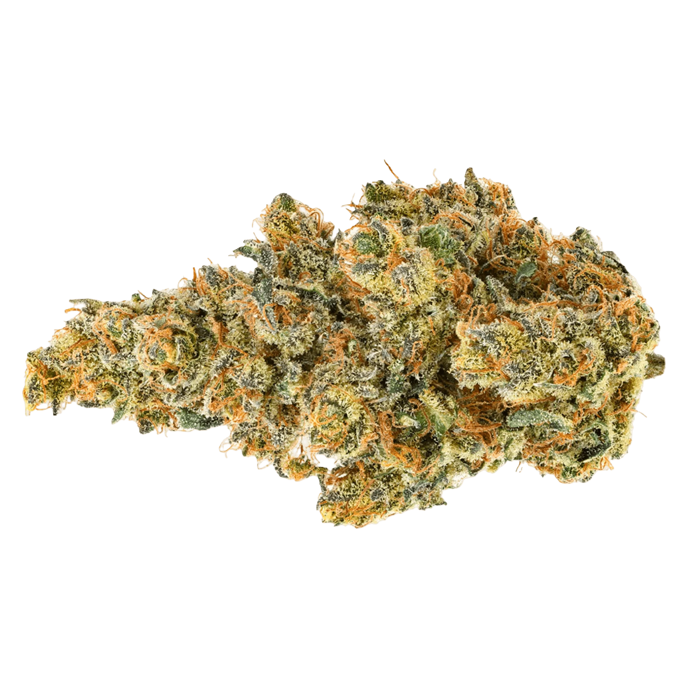 Coast Mountain Cannabis BC Organic Dancehall dried flower buds with green and orange tones