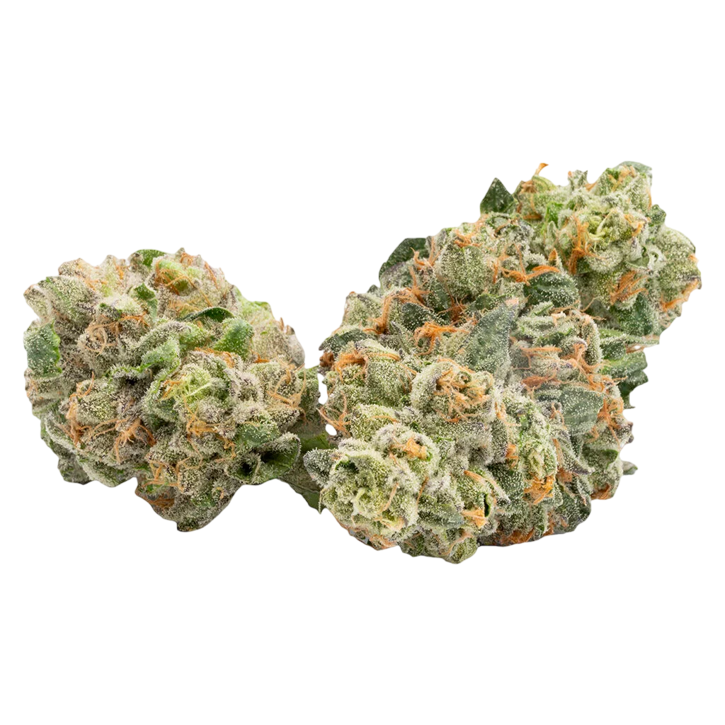 AK 47