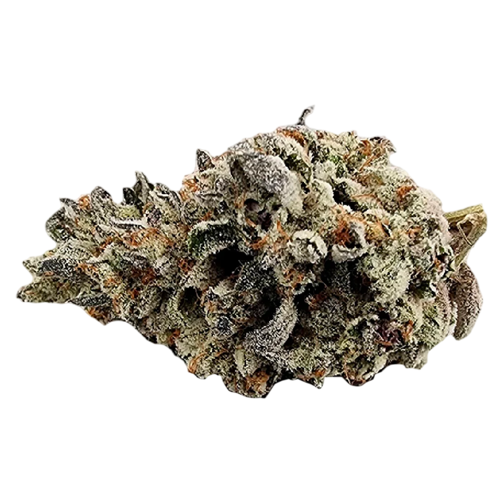 Truro Donair Kush cannabis dried flower with dense, frost-covered buds displaying green and brown tones