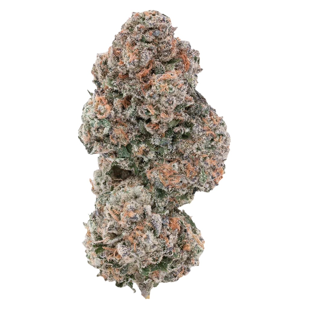 Sour Congo