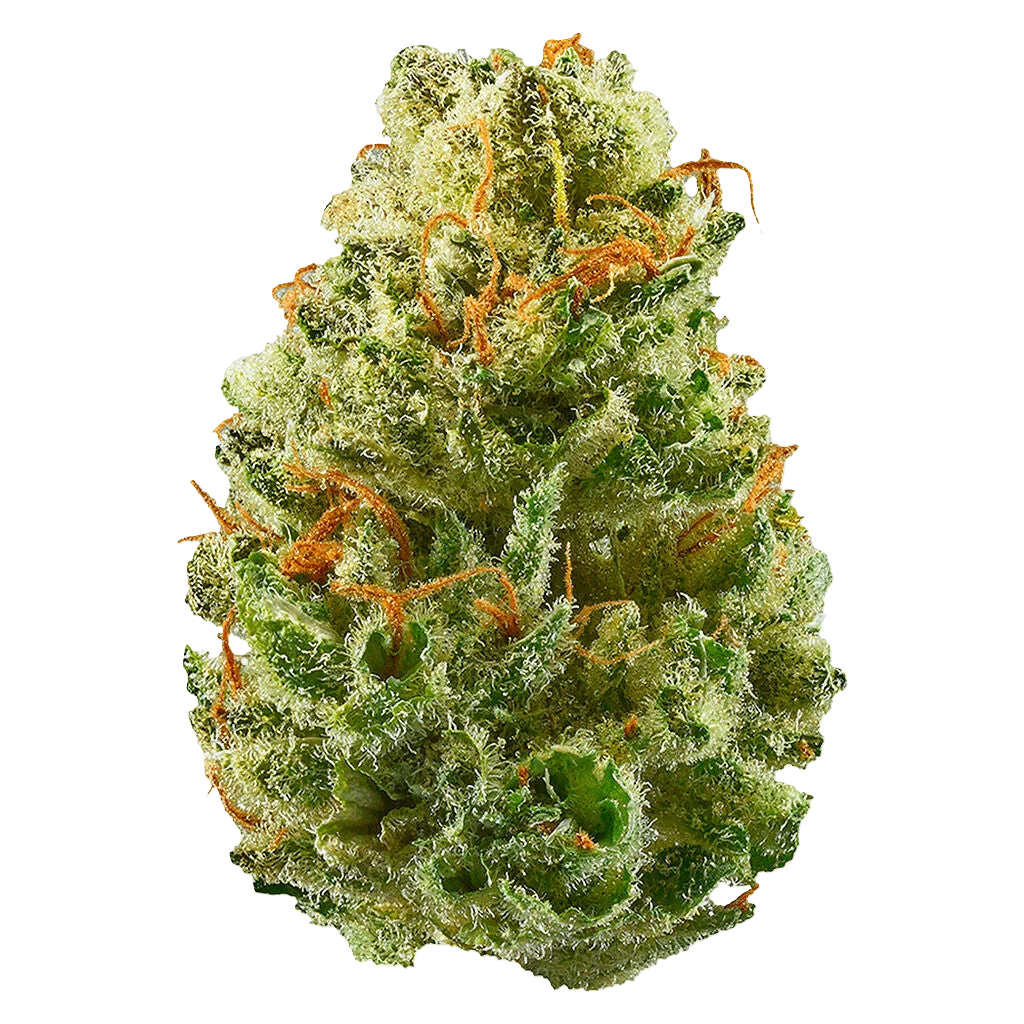 Strawberry Cough