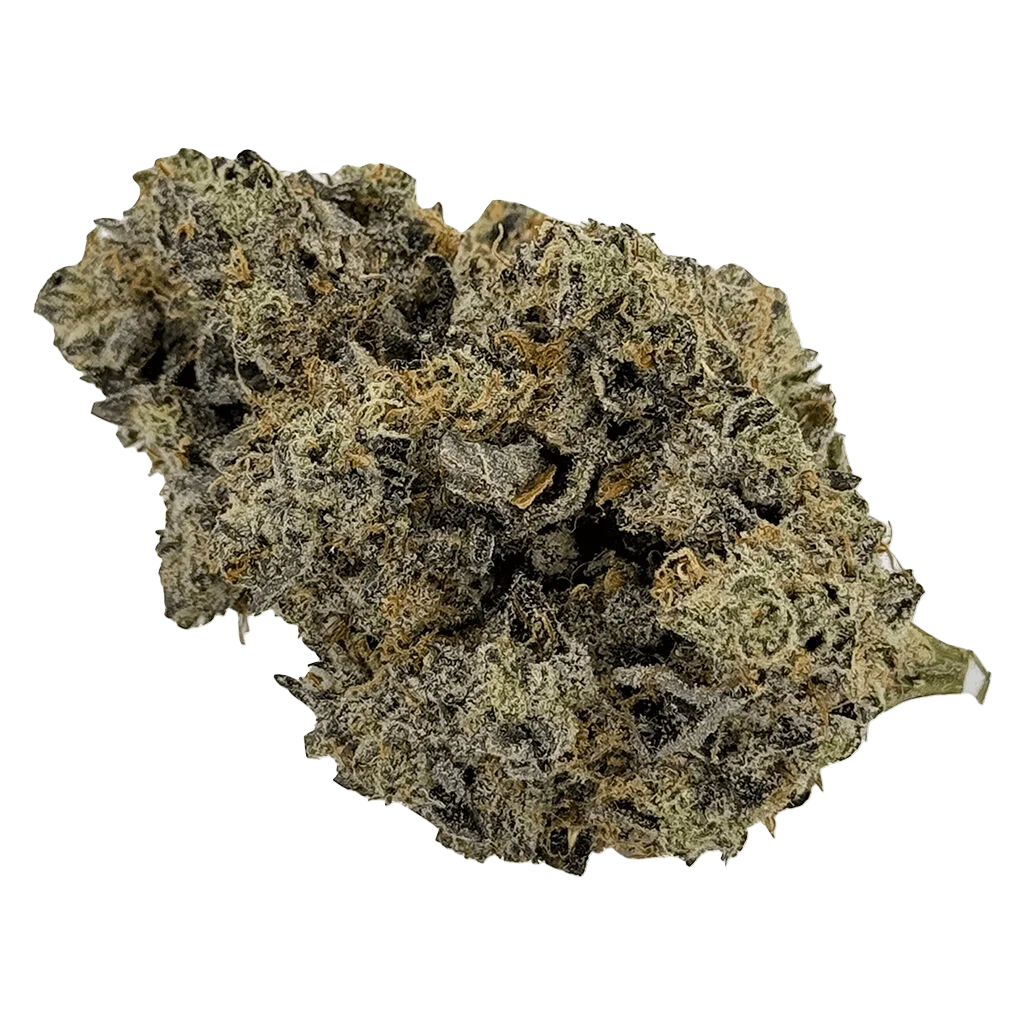 Plan't of the Ganja