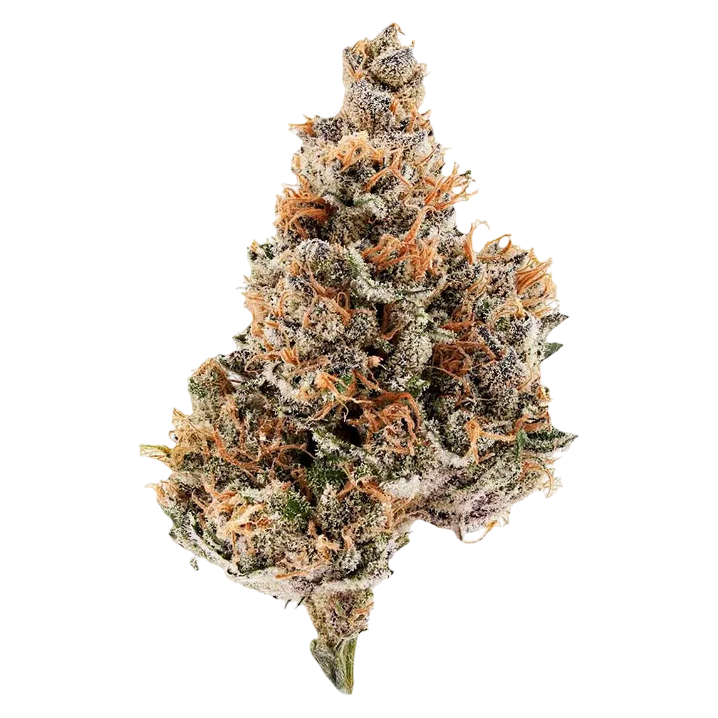 Raspberry Runtz