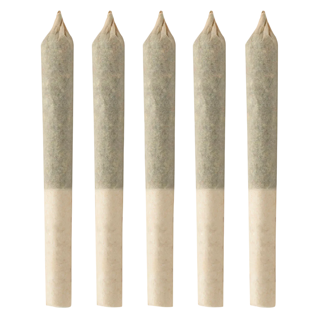 BC Organic Harlequin Préroulé